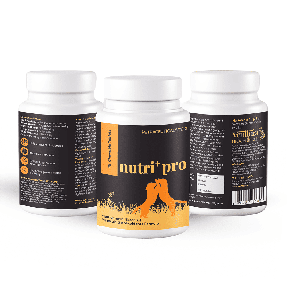 Venttura Nutri Plus Pro Multi Vitamin Chewable Tablets for Dogs — image 6