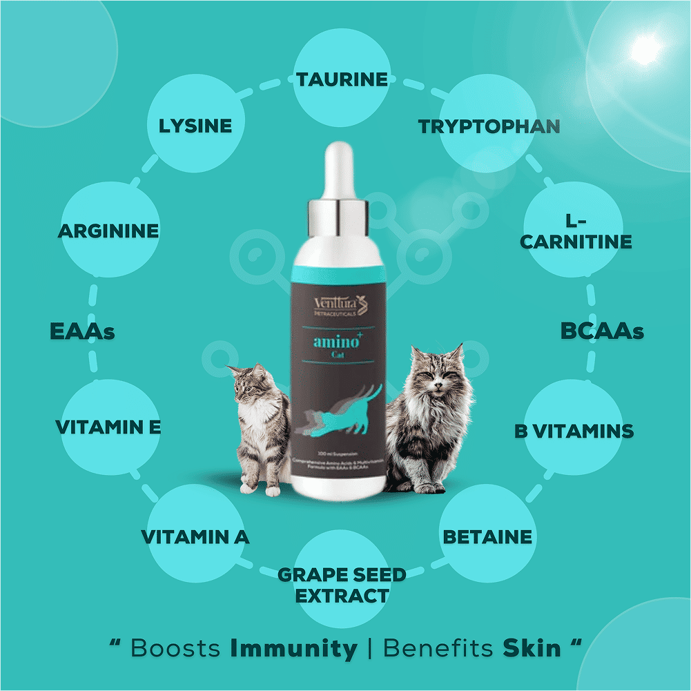 Venttura Amino Acids & Vitamin Supplement for Cats — side view