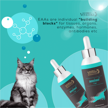 Venttura Amino Acids & Vitamin Supplement for Cats — back view