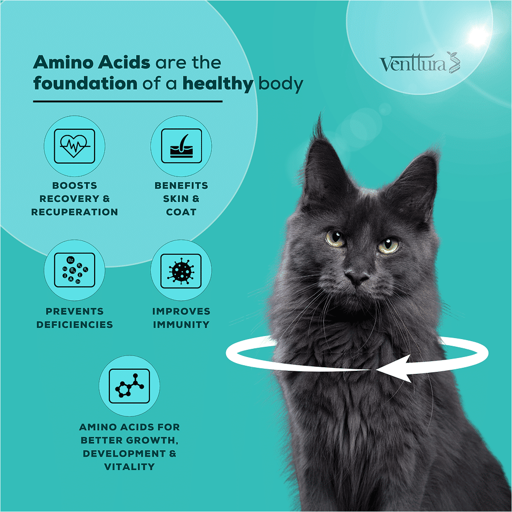 Venttura Amino Acids & Vitamin Supplement for Cats — detail shot