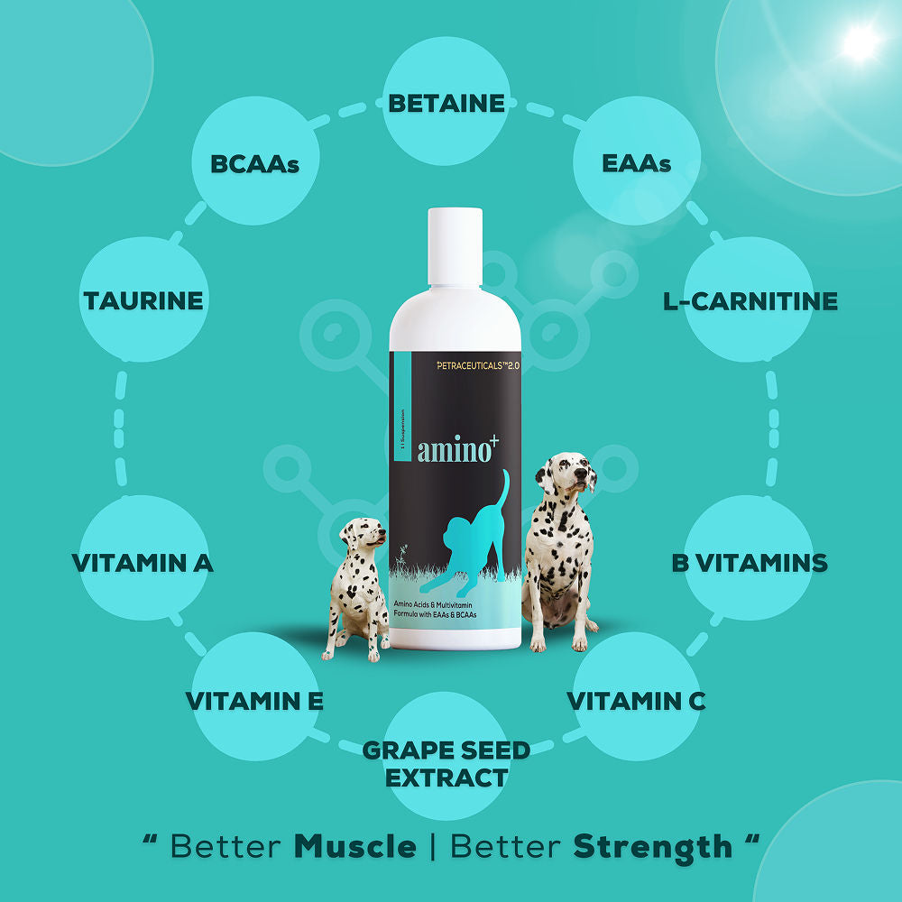Venttura Amino Plus Syrup for Dogs — side view