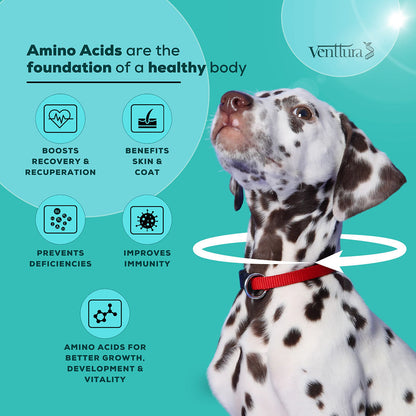 Venttura Amino Plus Syrup for Dogs — back view