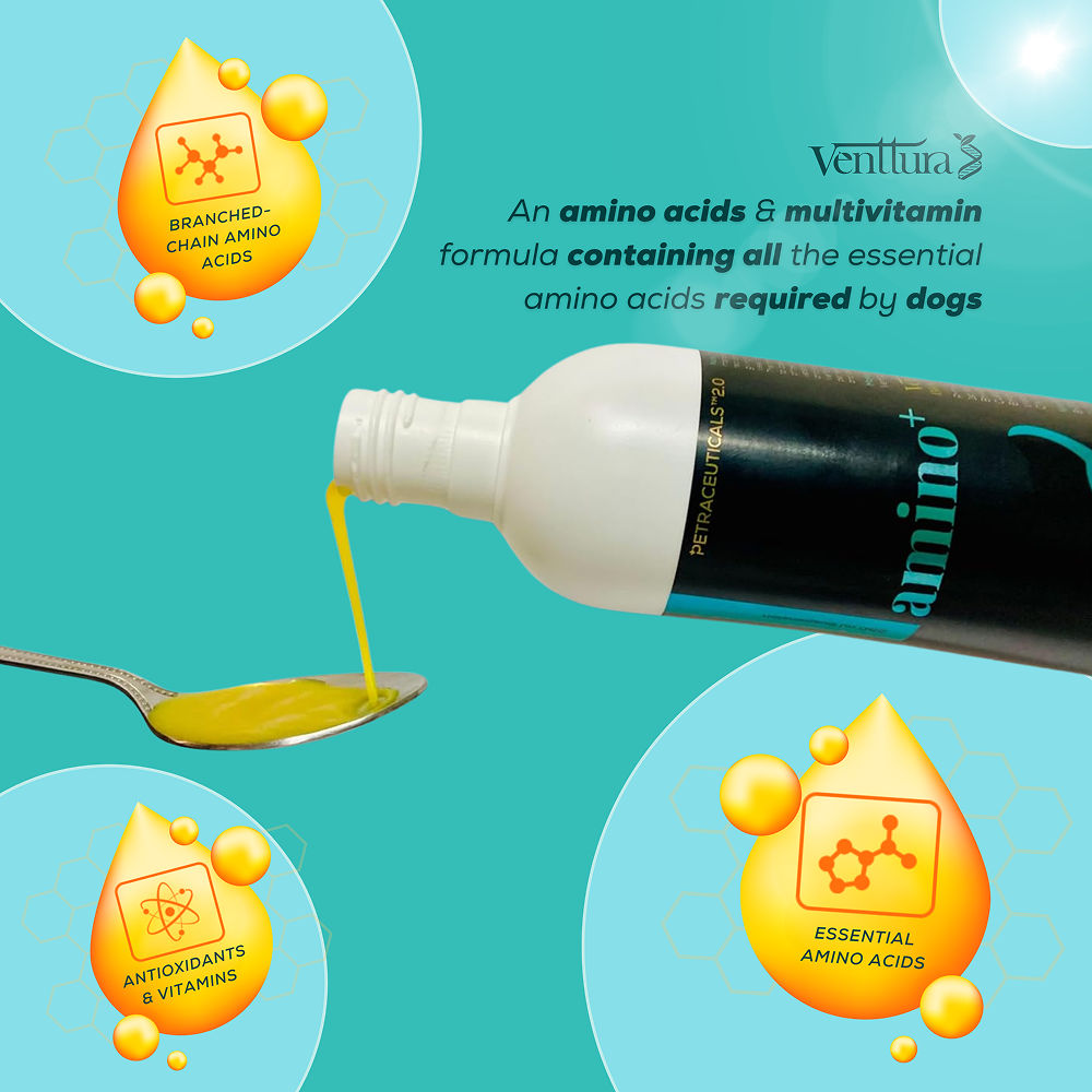 Venttura Amino Plus Syrup for Dogs — detail shot