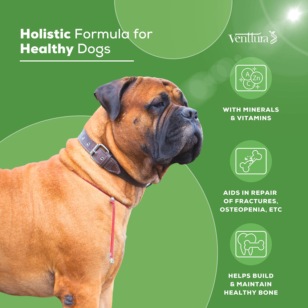 Venttura Calci Pro Plus Chewable Calcium Supplement Tablets for Dogs — side view