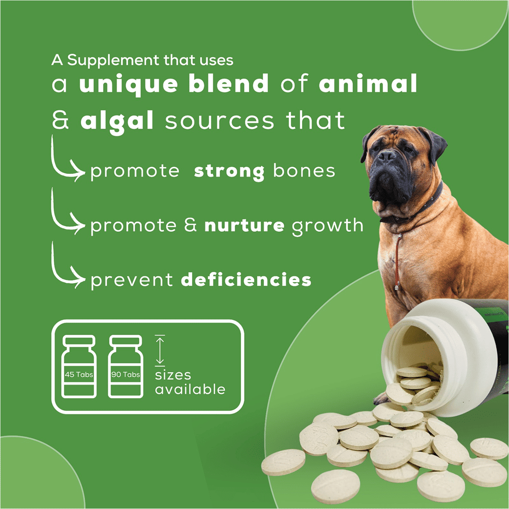 Venttura Calci Pro Plus Chewable Calcium Supplement Tablets for Dogs — back view
