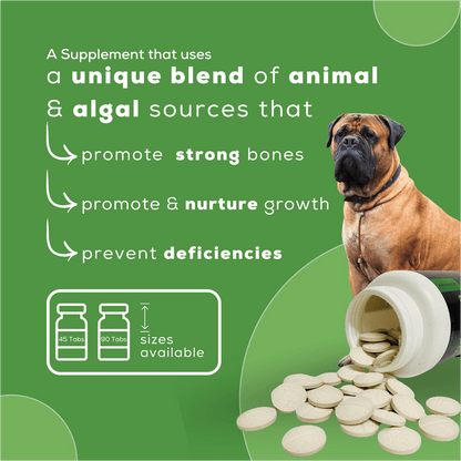 Venttura Calci Pro Plus Chewable Calcium Supplement Tablets for Dogs — back view