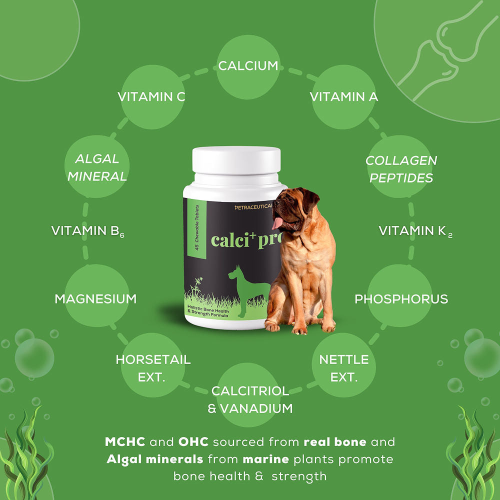 Venttura Calci Pro Plus Chewable Calcium Supplement Tablets for Dogs — detail shot
