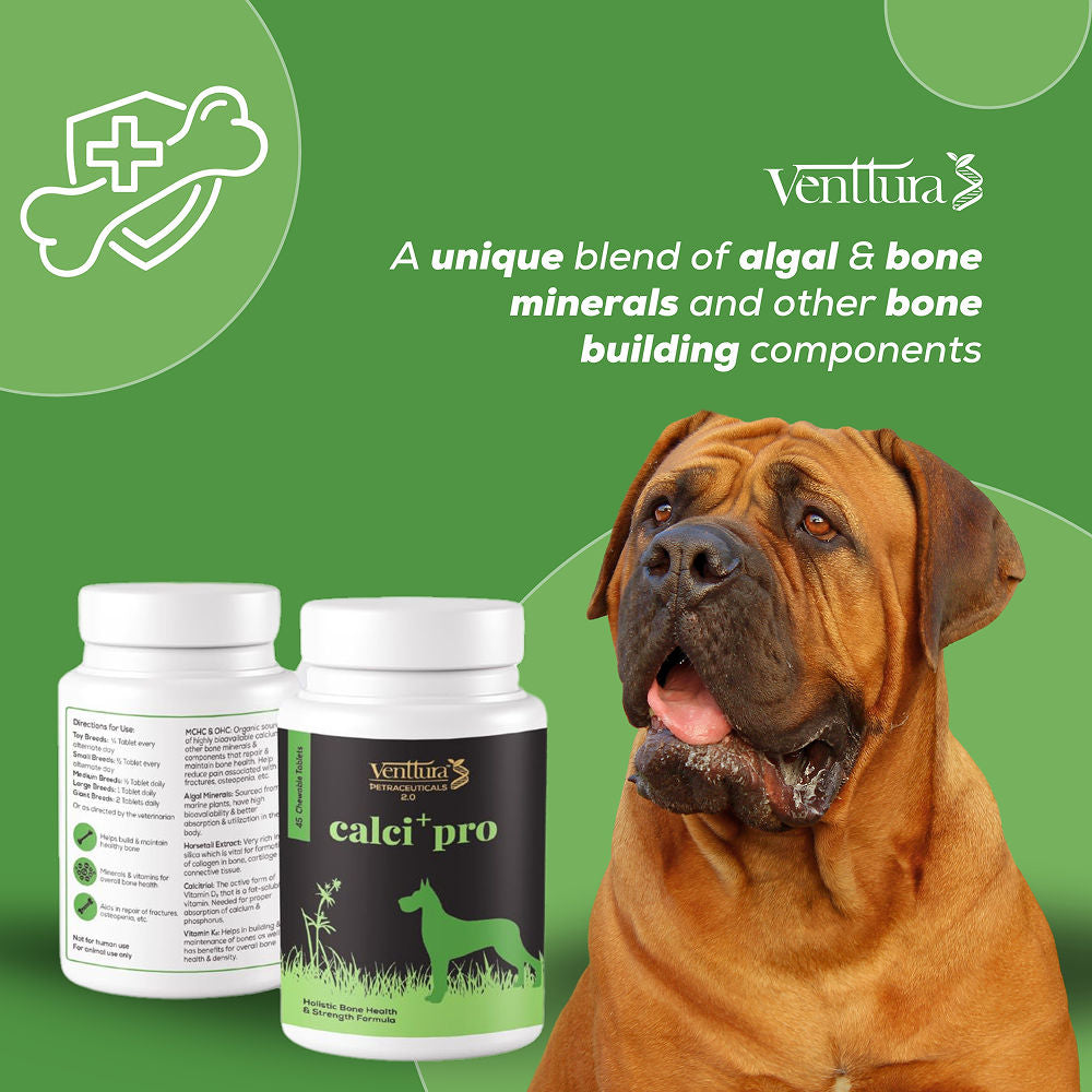 Venttura Calci Pro Plus Chewable Calcium Supplement Tablets for Dogs — in use