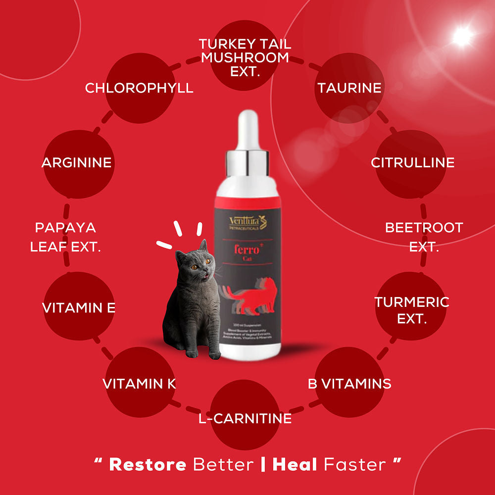 Venttura Ferro Blood Booster & Immunity Supplement for Cats — side view