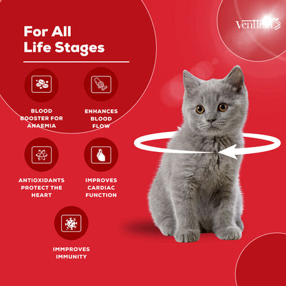 Venttura Ferro Blood Booster & Immunity Supplement for Cats — back view