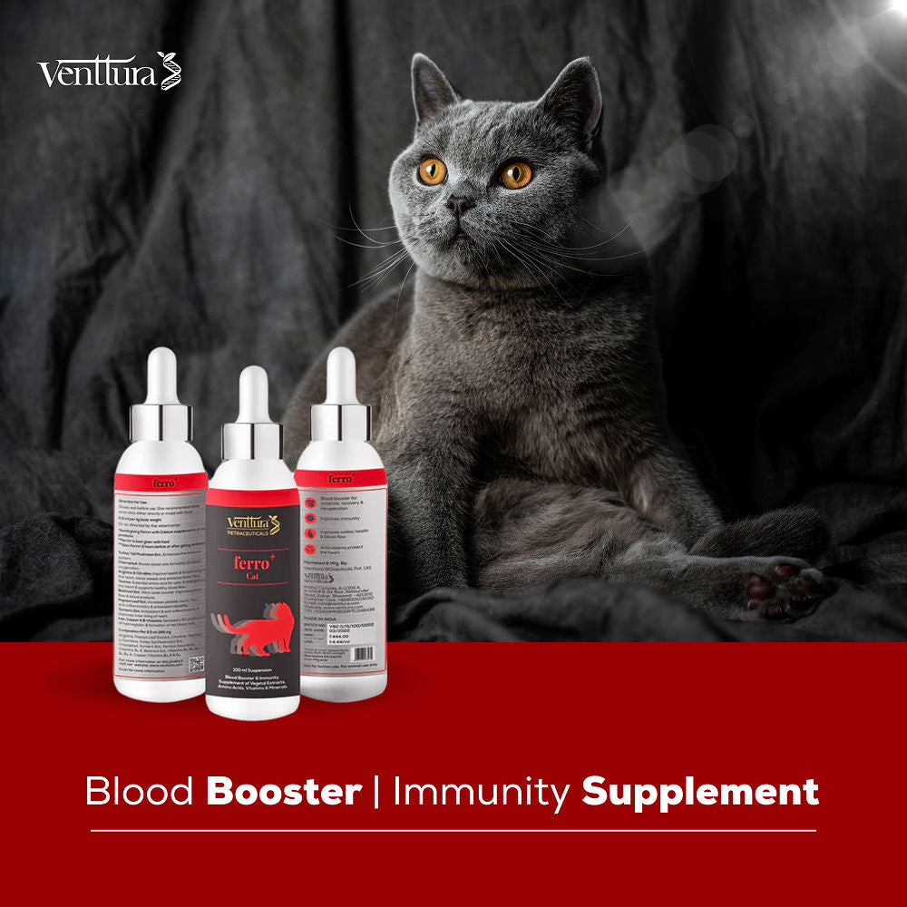 Venttura Ferro Blood Booster & Immunity Supplement for Cats — detail shot
