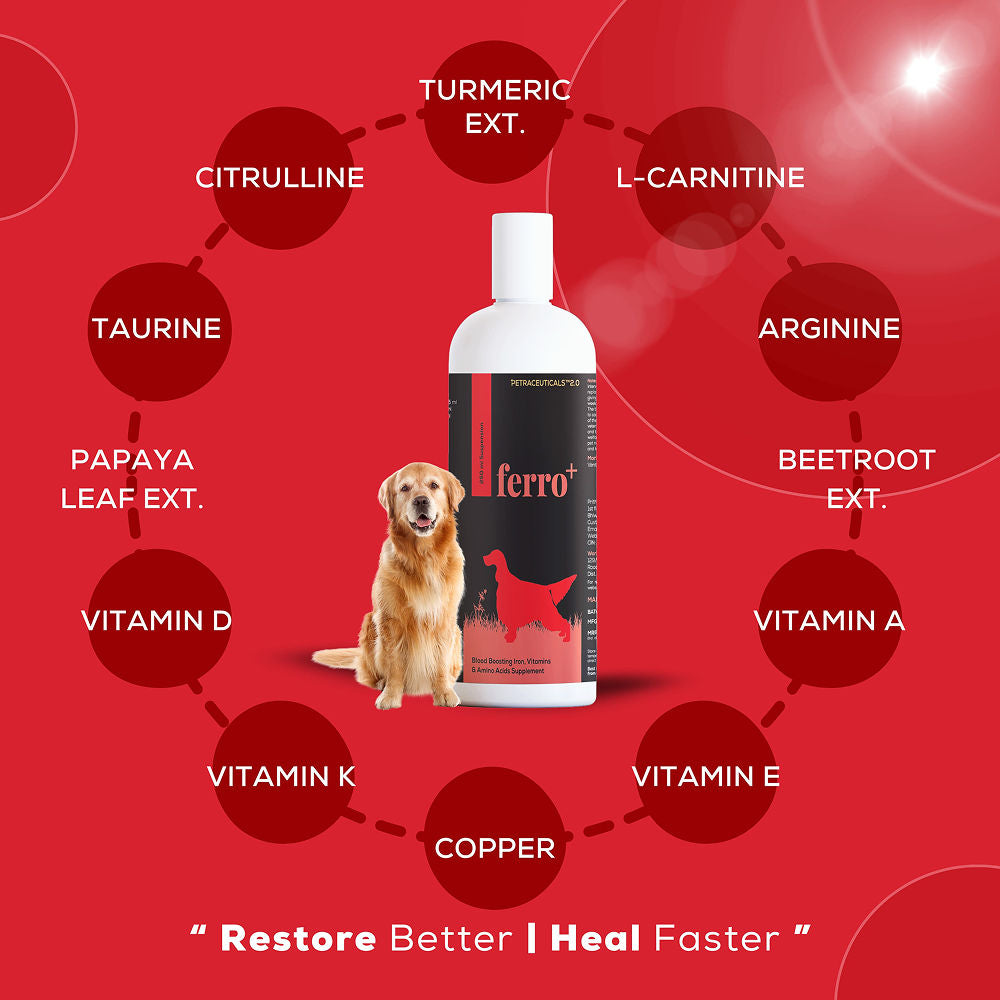 Venttura Ferro Plus Iron Supplements Syrup for Dogs — side view