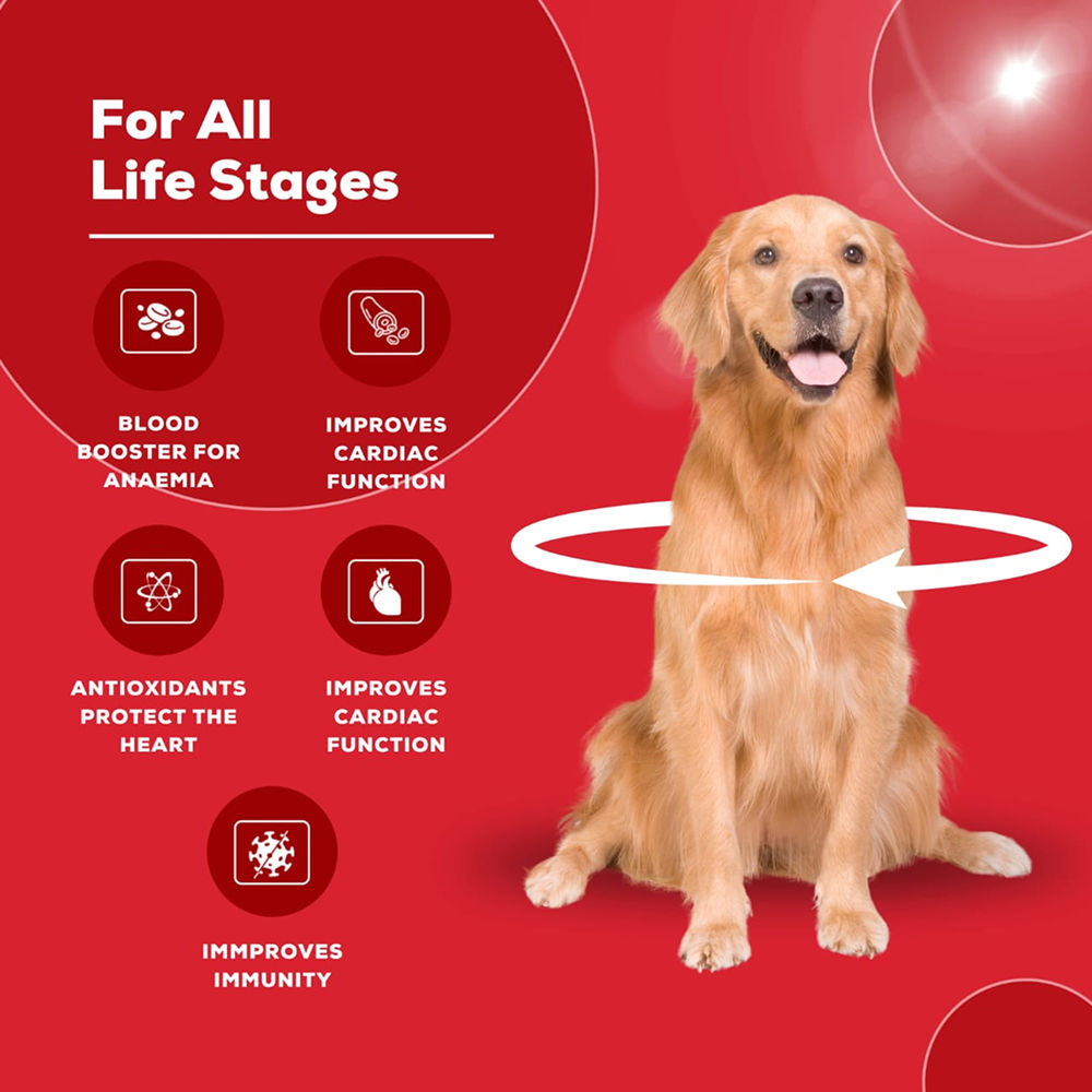 Venttura Ferro Plus Iron Supplements Syrup for Dogs — in use