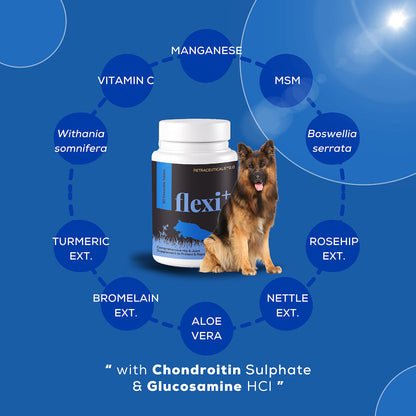 Venttura Flexi Plus Hip and Joint Chewable Tablets for Dogs — side view