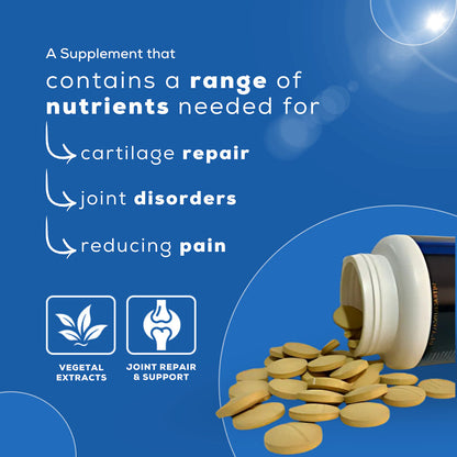 Venttura Flexi Plus Hip and Joint Chewable Tablets for Dogs — back view