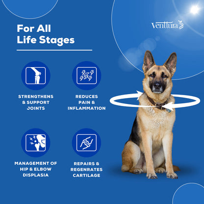 Venttura Flexi Plus Hip and Joint Chewable Tablets for Dogs — detail shot