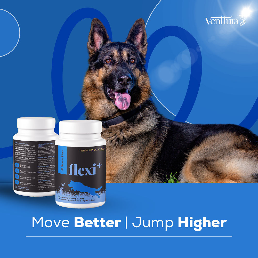 Venttura Flexi Plus Hip and Joint Chewable Tablets for Dogs — in use