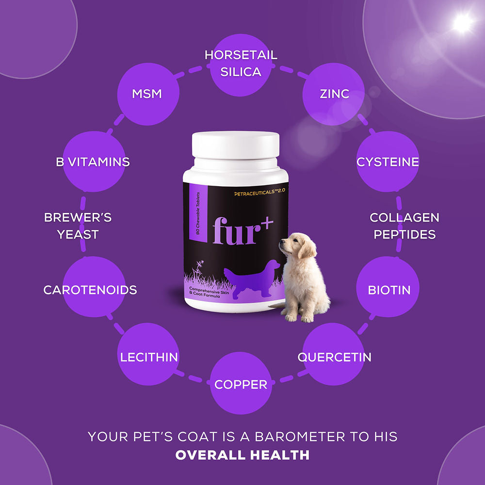 Venttura Fur Plus Chewable Skin & Coat Supplement Tablets for Dogs — side view