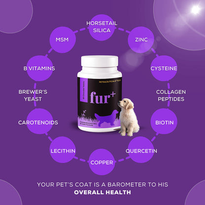 Venttura Fur Plus Chewable Skin & Coat Supplement Tablets for Dogs — side view