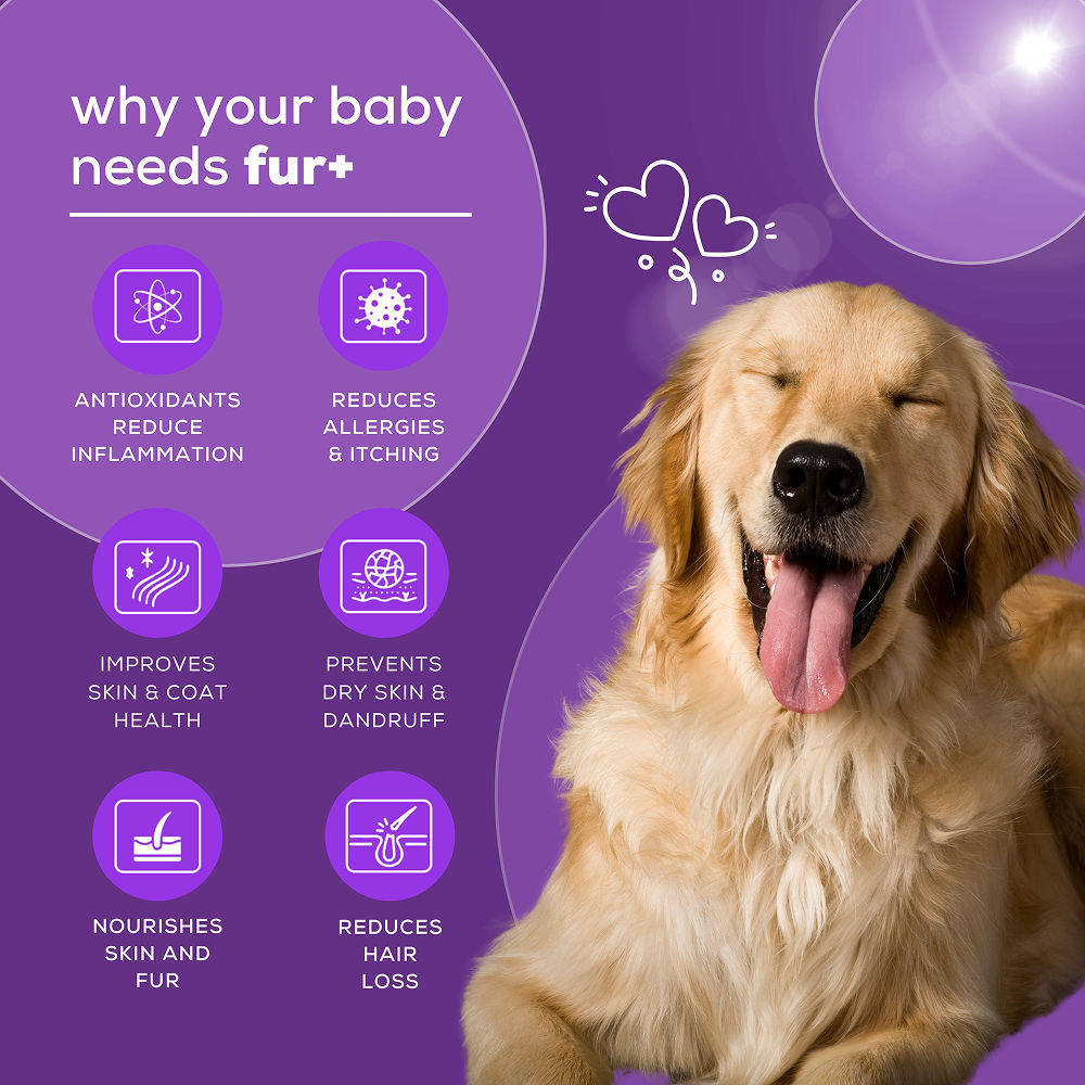 Venttura Fur Plus Chewable Skin & Coat Supplement Tablets for Dogs — detail shot