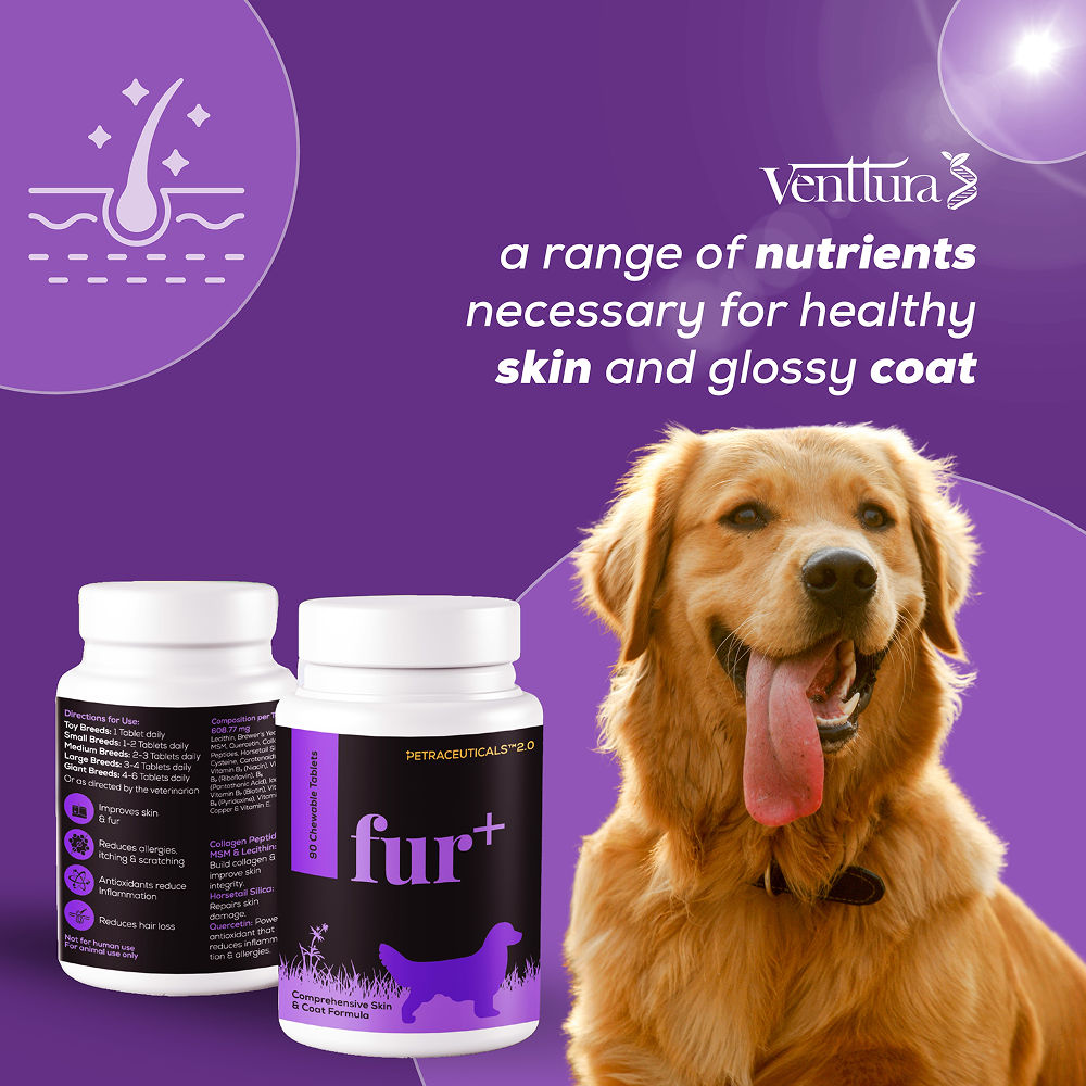 Venttura Fur Plus Chewable Skin & Coat Supplement Tablets for Dogs — in use