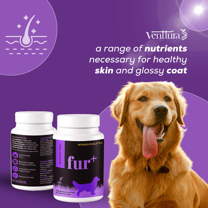 Venttura Fur Plus Chewable Skin & Coat Supplement Tablets for Dogs — in use