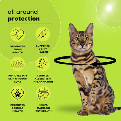Venttura Healthy Skin & Glowing Coat Omega Fatty Acid Supplement for Cats — in use