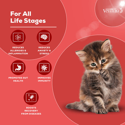 Venttura Immunity Booster & Calming Supplement for Cats — back view