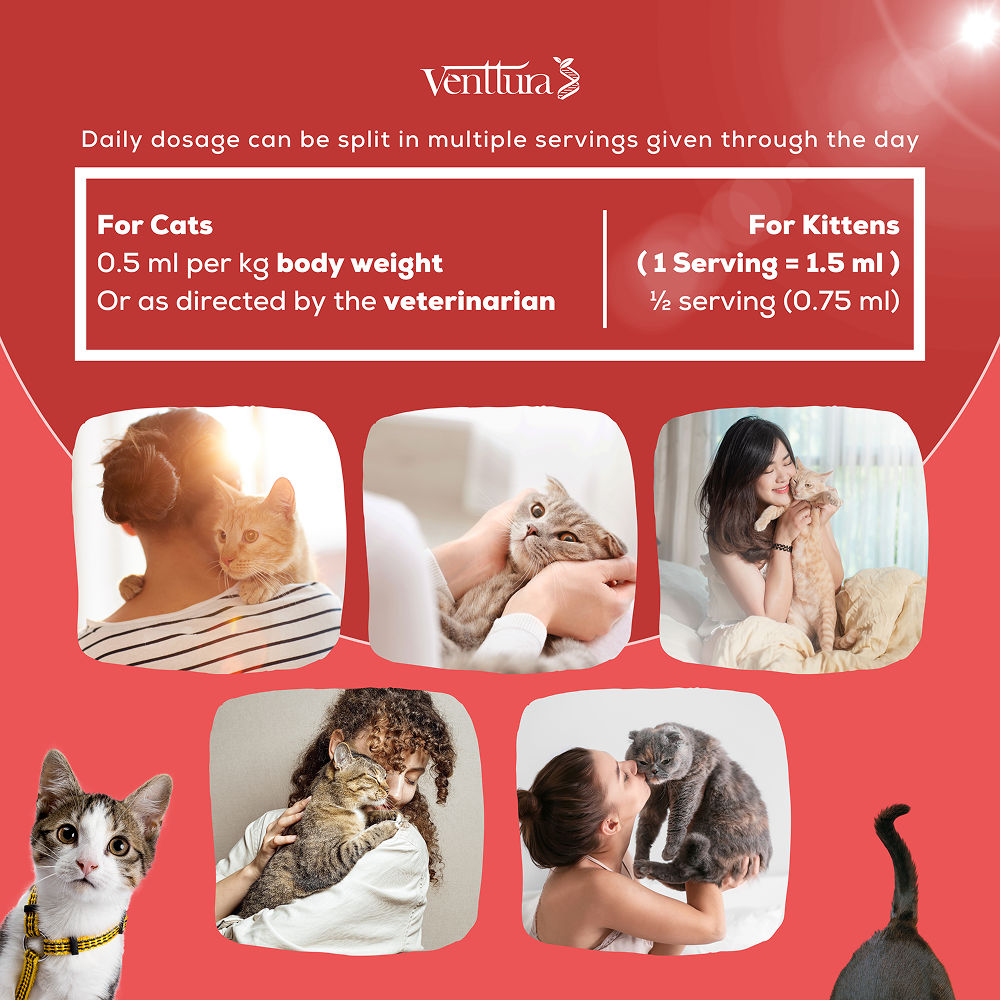 Venttura Immunity Booster & Calming Supplement for Cats — detail shot