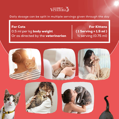 Venttura Immunity Booster & Calming Supplement for Cats — detail shot