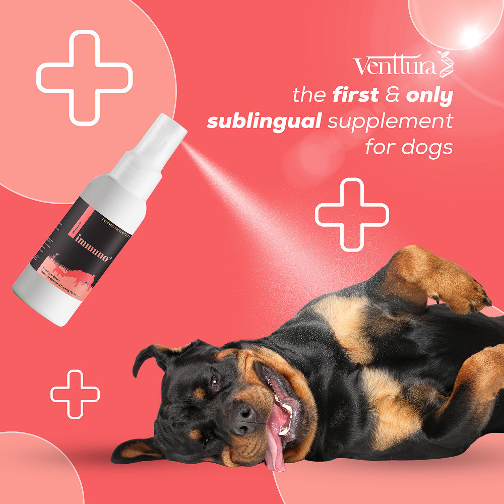 Venttura Immuno Plus Immunity Booster Spray for Dogs — back view
