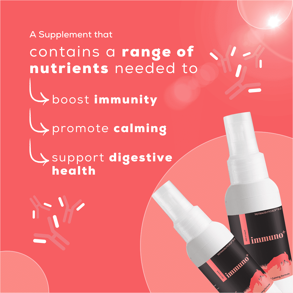 Venttura Immuno Plus Immunity Booster Spray for Dogs — in use