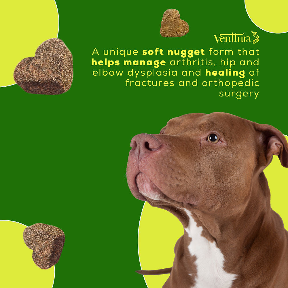 Venttura Inhancer Hip & Joint Soft Nuggets Supplements for Dogs — side view