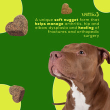 Venttura Inhancer Hip Joint Soft Nuggets Supplements For Dogs - Image 2