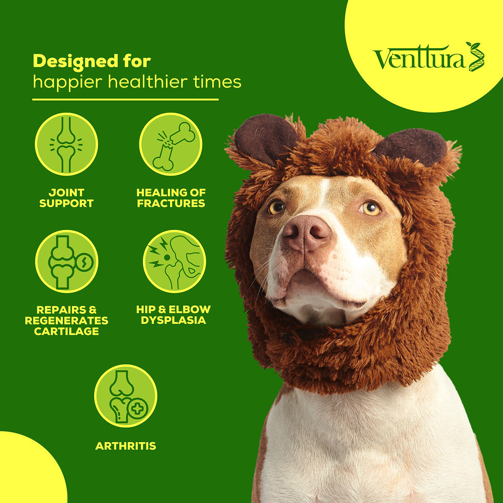 Venttura Inhancer Hip & Joint Soft Nuggets Supplements for Dogs — back view