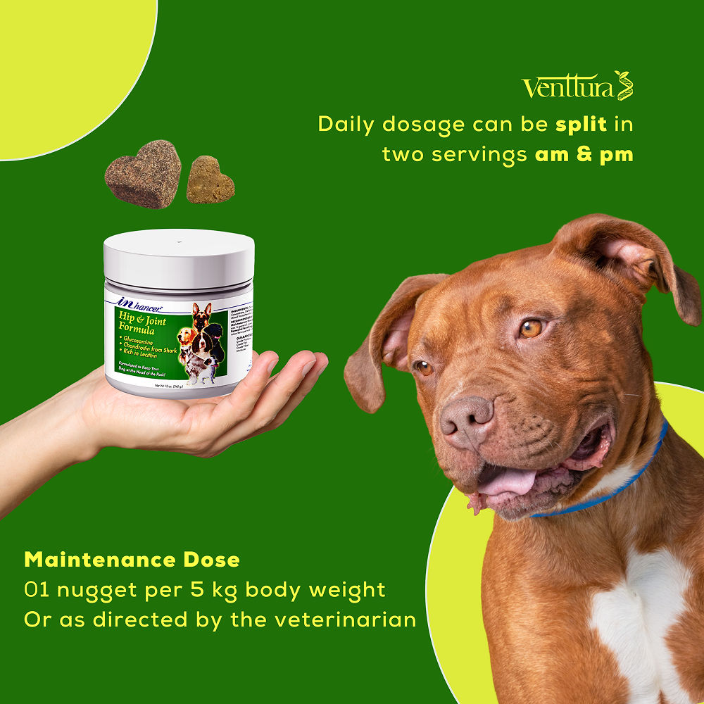 Venttura Inhancer Hip & Joint Soft Nuggets Supplements for Dogs — detail shot