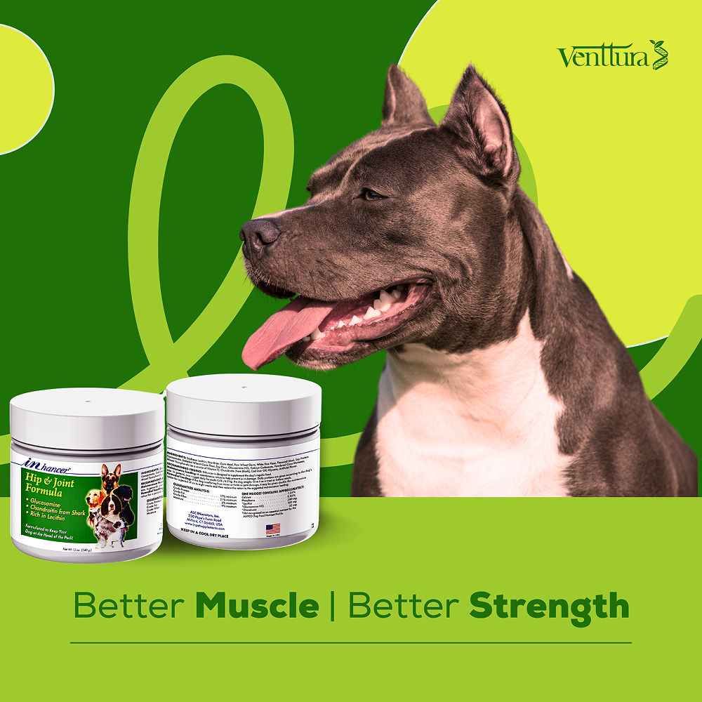 Venttura Inhancer Hip & Joint Soft Nuggets Supplements for Dogs — in use