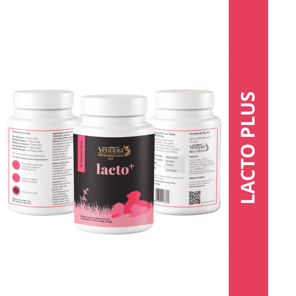 Venttura Lacto Plus Milk Boosters Chewable Tablets For Dogs