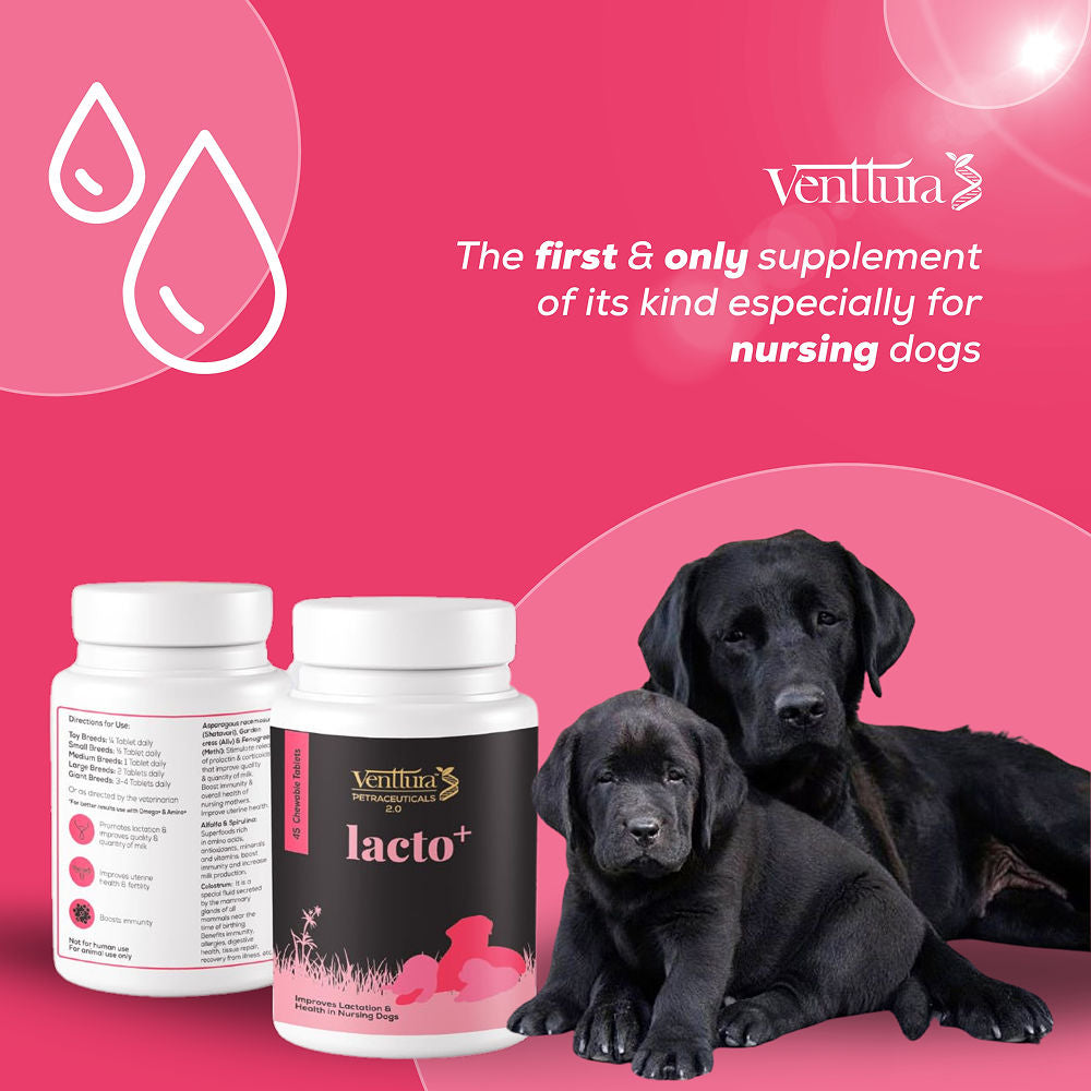 Venttura Lacto Plus Milk Boosters Chewable Tablets for Dogs — side view