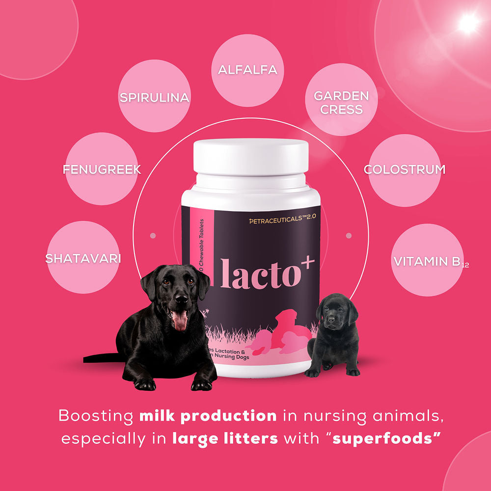 Venttura Lacto Plus Milk Boosters Chewable Tablets for Dogs — back view