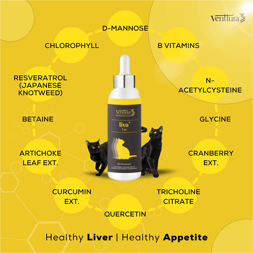 Venttura Liver Repair, Support Recovery & Recuperation Supplement for Cats — side view