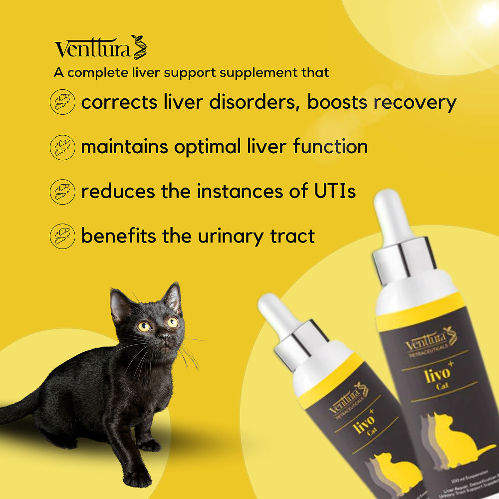 Venttura Liver Repair, Support Recovery & Recuperation Supplement for Cats — back view