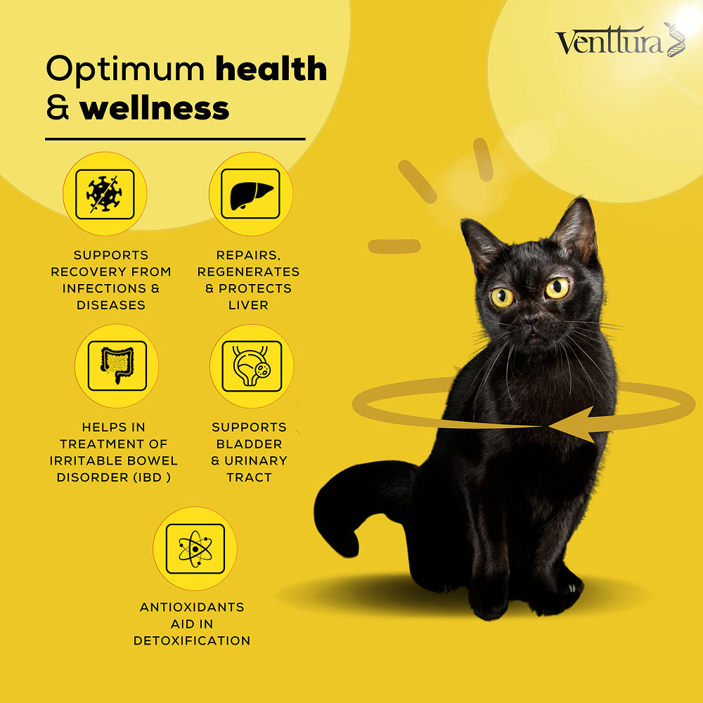 Venttura Liver Repair, Support Recovery & Recuperation Supplement for Cats — detail shot
