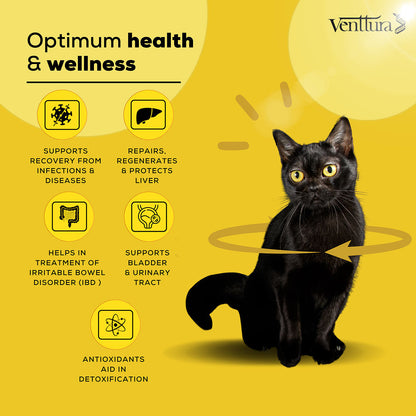 Venttura Liver Repair, Support Recovery & Recuperation Supplement for Cats — detail shot