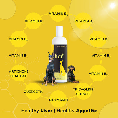 Venttura Livo Plus Liver Supplement Syrup For Dogs - Image 4