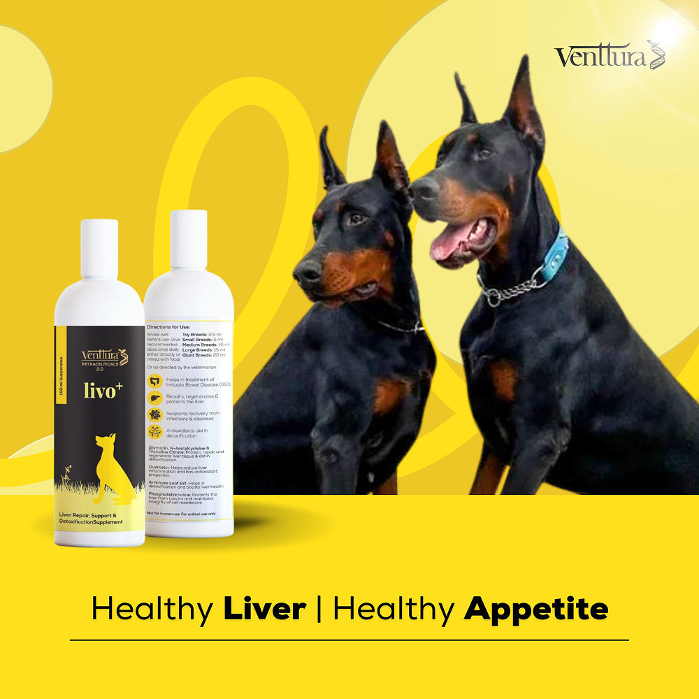 Venttura Livo Plus Liver Supplement Syrup For Dogs - Image 5