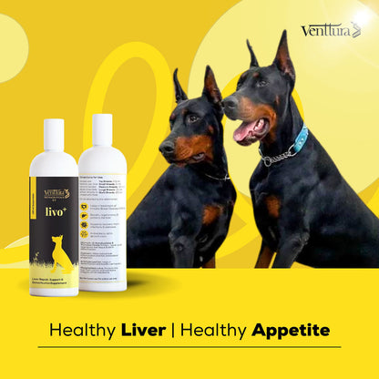Venttura Livo Plus Liver Supplement Syrup For Dogs - Image 5