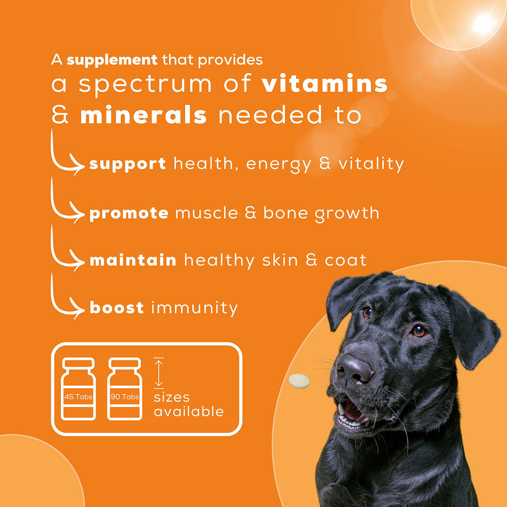 Venttura Nutri Plus Pro Multi Vitamin Chewable Tablets for Dogs — side view