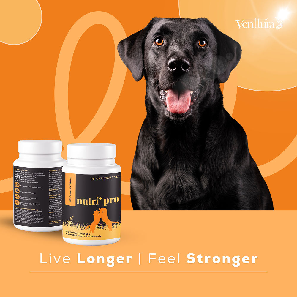 Venttura Nutri Plus Pro Multi Vitamin Chewable Tablets for Dogs — back view