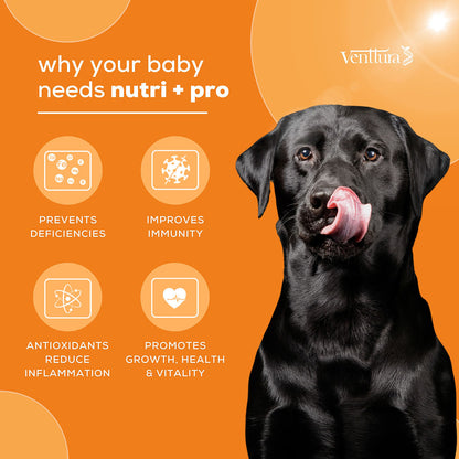Venttura Nutri Plus Pro Multi Vitamin Chewable Tablets for Dogs — in use